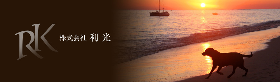 ������� ����